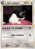 chat 2 couleurs