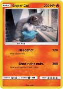 Sniper Cat