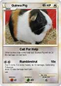 Guinea Pig