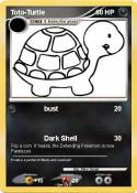 Toto-Turtle