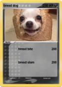 bread dog