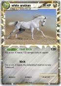 white arabian