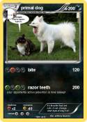 primal dog