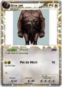 Gros pet