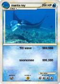 manta ray