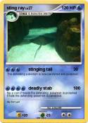 sting ray
