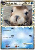 OwO sea lion