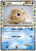 cuoty