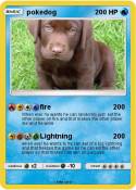 pokedog