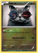 cool cat