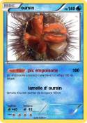 oursin