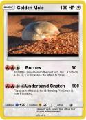 Golden Mole