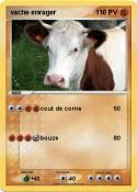 vache enrager