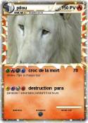 pilou