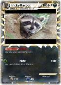 tricky Racoon
