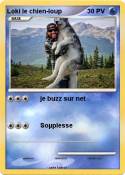 Loki le chien-l