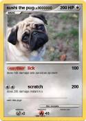 sushi the pug