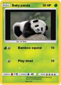 Baby panda