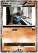 sniper cat