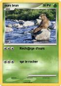 ours brun