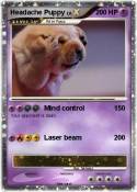 Headache Puppy
