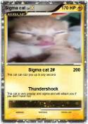 Sigma cat