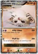 Chocolate kitty