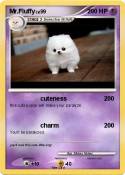 Mr.Fluffy