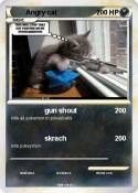 Angry cat