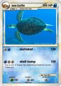 sea turtle