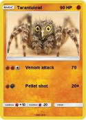 Tarantulowl