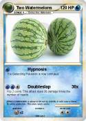 Two Watermelons