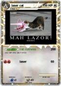 laser cat