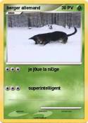 berger allemand