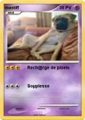 mastiff