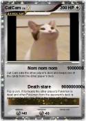 CatCam