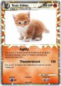 Toxic Kitten