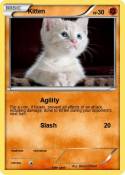 Kitten