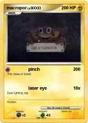 macropor