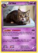 Lil' Bub