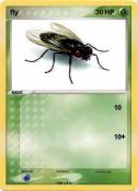 fly