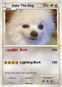Gabe The Dog