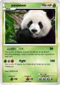 pandabeer