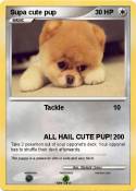 Supa cute pup
