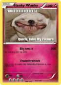 Hanky Wanky