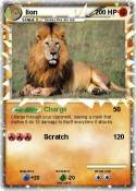 lion