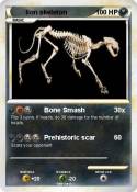 lion skeleton