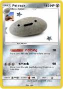 Pet rock