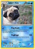 DERPY PUG