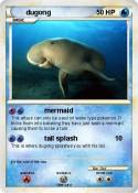 dugong